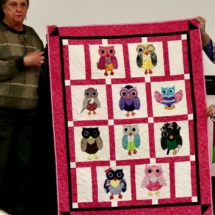 Jan 2021 Carol R Owl SHop Hop Quilt